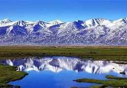 一竞技网站- 沙特超级杯利雅得胜利vs吉达联合 