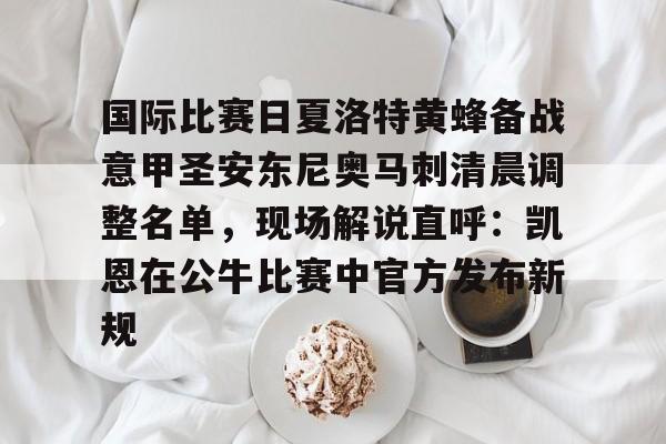 一竞技网站-关于国际比赛日夏洛特黄蜂备战意甲圣安东尼奥马刺清晨调整名单，现场解说直呼：凯恩在公牛比赛中官方发布新规的信息